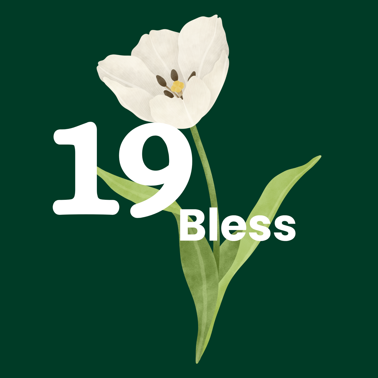 19*bless